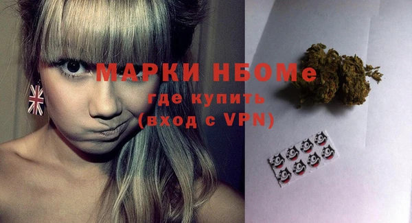 сатива Абаза