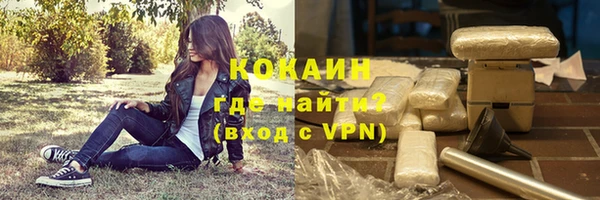 соль ск Алзамай