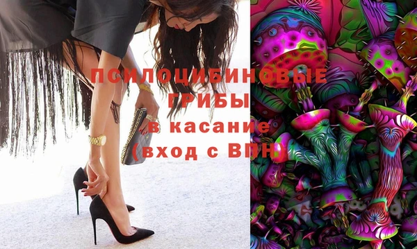 соль ск Алзамай